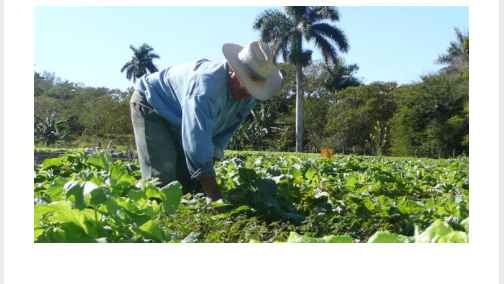 Retos de la agricultura ante la Tarea Ordenamiento
