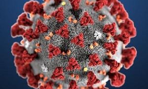 Avanzan ensayos clínicos de Abdala con seguridad