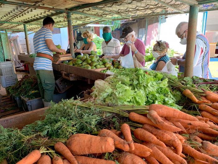 Aprueban nuevos precios de productos agropecuarios en La Habana