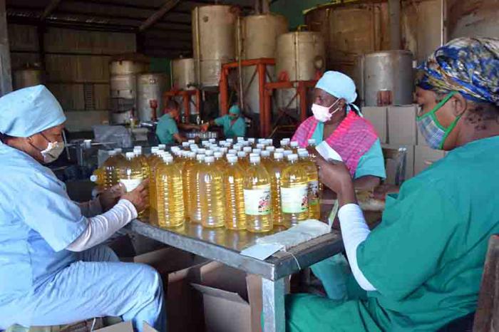 Tecnoazúcar produce alimentos a partir de alternativas locales