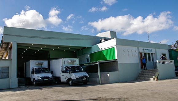 Informatización y abastecimiento, retos del mercado mayorista para trabajadores por cuenta propia