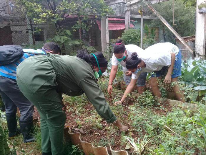 Todo lo que estimule la producción es favorable