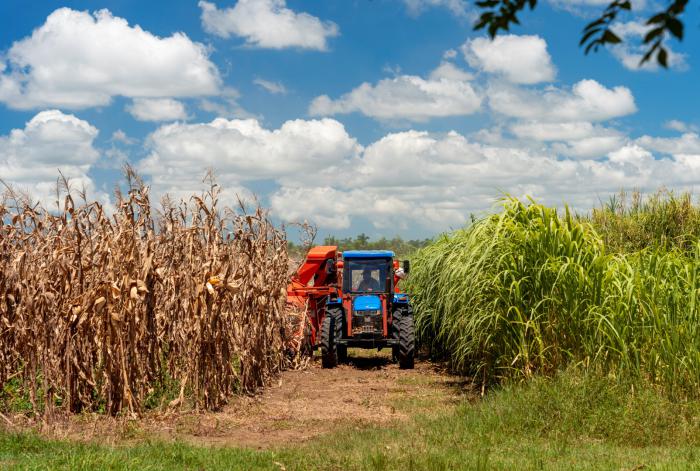 Consejo de Ministros: Sobrevivir, resistir y también avanzar