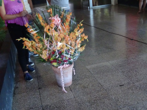 Jornada ¨Recordando a Fidel¨