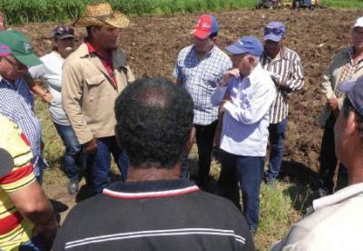 Producción agrícola