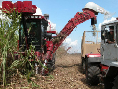 La agroindustria azucarera preserva su carácter estratégico