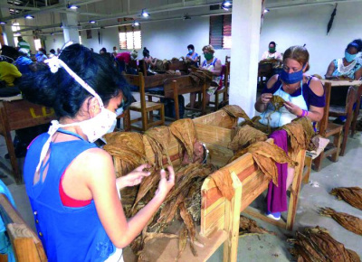 La pandemia no «enfermó» el amparo de Cuba a sus trabajadores