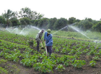 Convertir en toneladas cosechadas los recursos invertidos