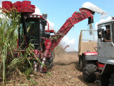 De lo que se haga a tiempo depende la próxima zafra
