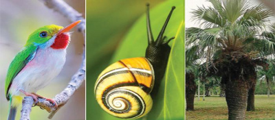 Cuba prioriza el cuidado de un medioambiente sano y equilibrado