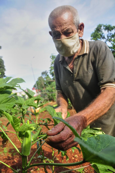 A pesar del bloqueo y la pandemia Cuba no ha dejado de pensar en el desarrollo de su economía