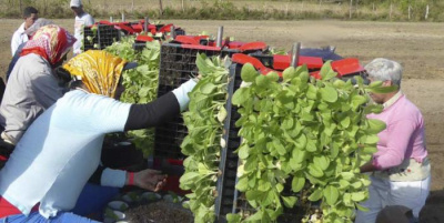 ¿Cuáles fueron los Decretos-Leyes ratificados por la Asamblea Nacional?