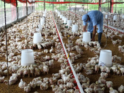 ¿Cómo multiplicar «La Fortaleza» en el desarrollo local?