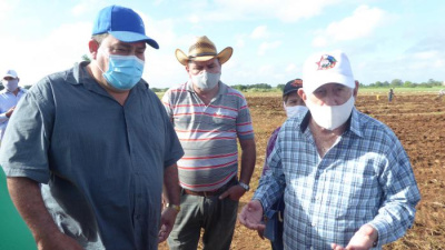 En el surco, por la seguridad alimentaria de todo un pueblo