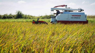 Envía Japón a Cuba moderna máquina para trasplante mecanizado de arroz