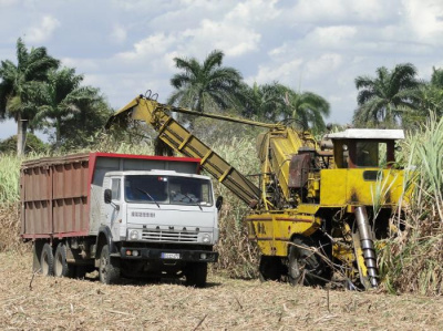 Estamos obligados a hacer una zafra corta, pero eficiente