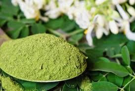 Estudio valida el uso de la moringa como alimento animal