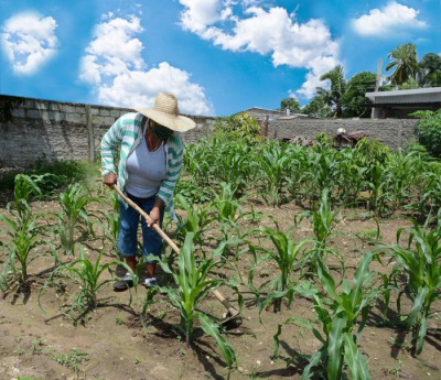 Con el ordenamiento se revisa cada eslabón de la cadena productiva