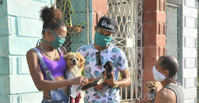 ¿Qué dispone el decreto-ley aprobado sobre bienestar animal?