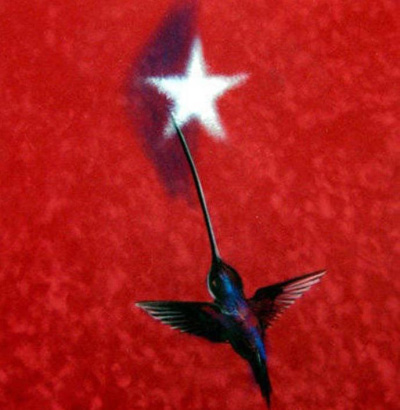 Revolución Cubana es luz y vida