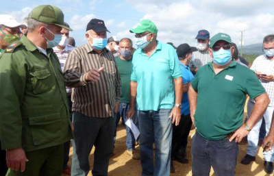 Es preciso encadenar la agricultura y la industria 