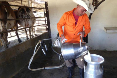 Resalta Díaz-Canel medidas aprobadas en Cuba para potenciar la producción de alimentos