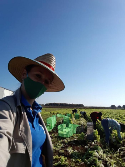 Sesenta y tres medidas para incrementar la producción de alimentos en el país 