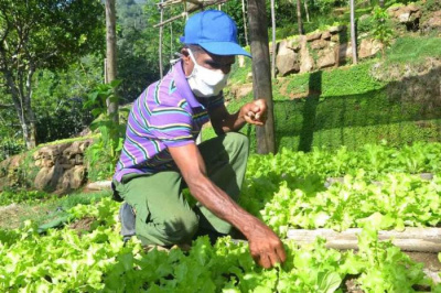 Con las nuevas medidas, el crecimiento de la producción agropecuaria no admite demoras