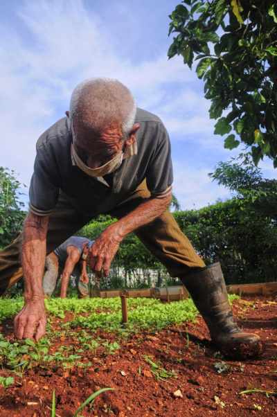 Medidas inmediatas para producir más alimentos