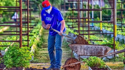 Noticia de Cubadebate