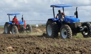 ¿Cómo desatar la producción agropecuaria con esfuerzos propios? 
