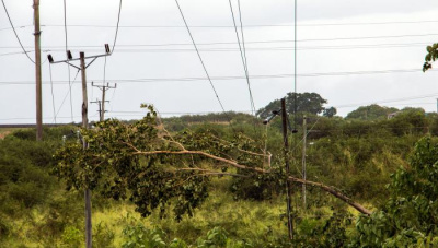 Recuperado más del 90 % del servicio eléctrico afectado por el huracán Ida