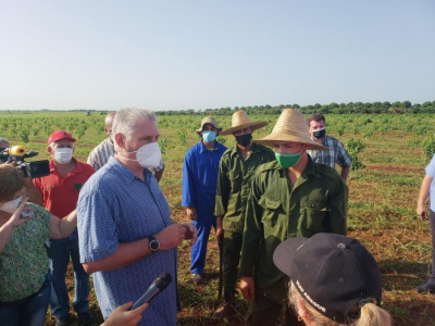 Díaz-Canel en Mayabeque: Los caminos de la agricultura cubana 