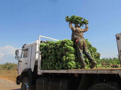 Un fondo que reclama ser «sembrado»