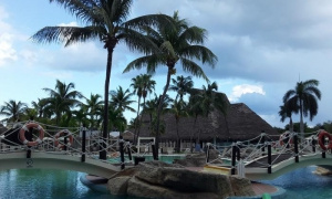 Omara, con tremendo tiempo, ganó su séptimo oro