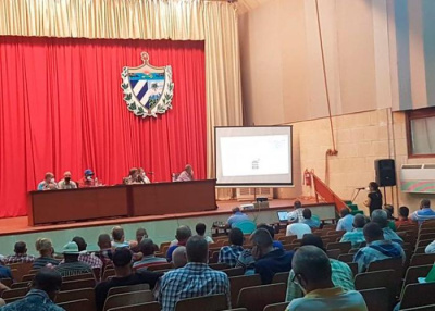 Tenemos que quitarle más tierras al marabú