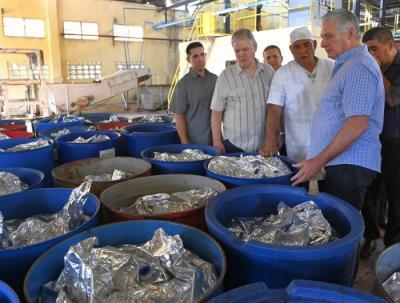 Presidente Díaz-Canel en visita gubernamental a Holguín