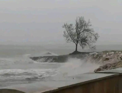 Noticia de Cubadebate